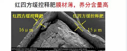 草莓色版APP在线观看缓释包膜材料更薄、养分更全