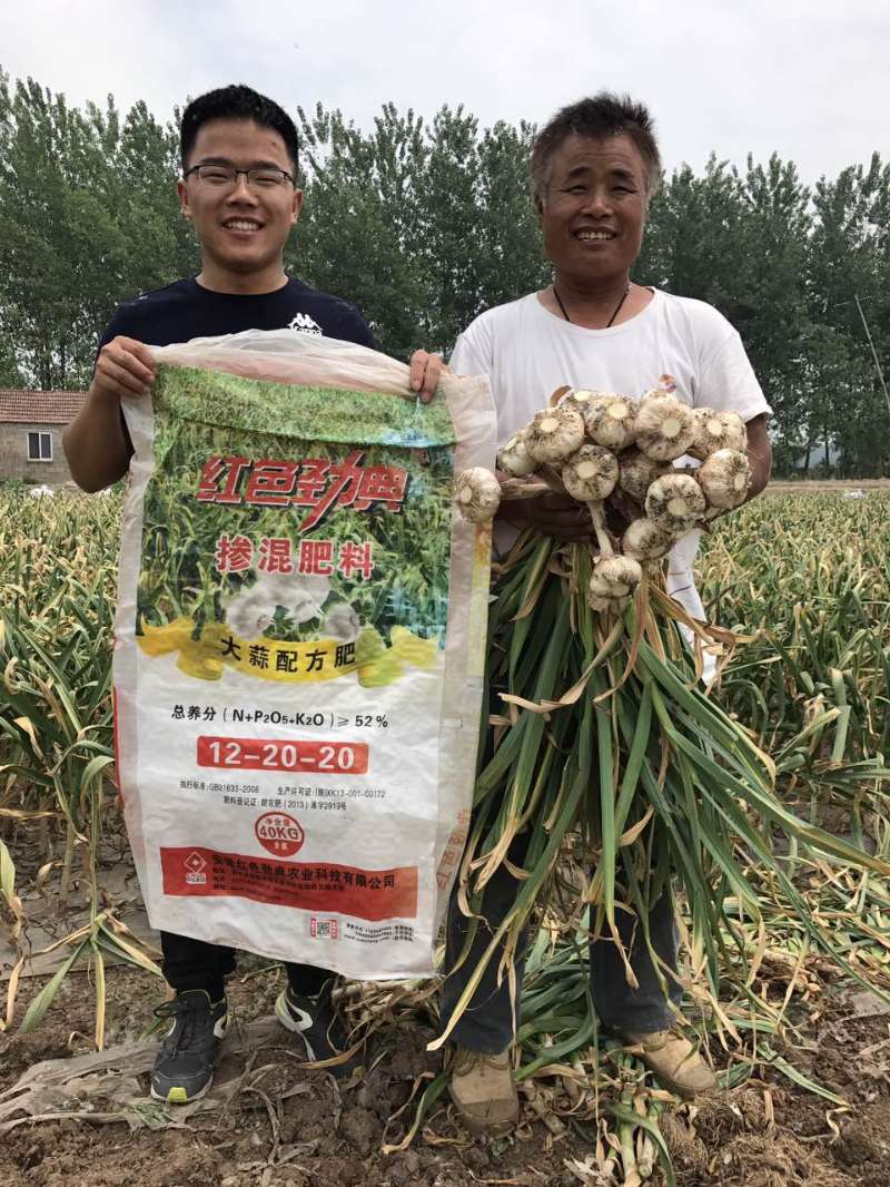 草莓色版APP在线观看掺混肥料大蒜配方肥真实案例